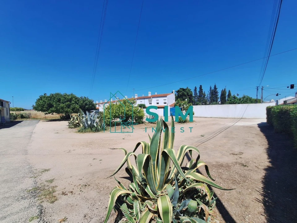 Terreno para Venda em Azinhaga Foto 14