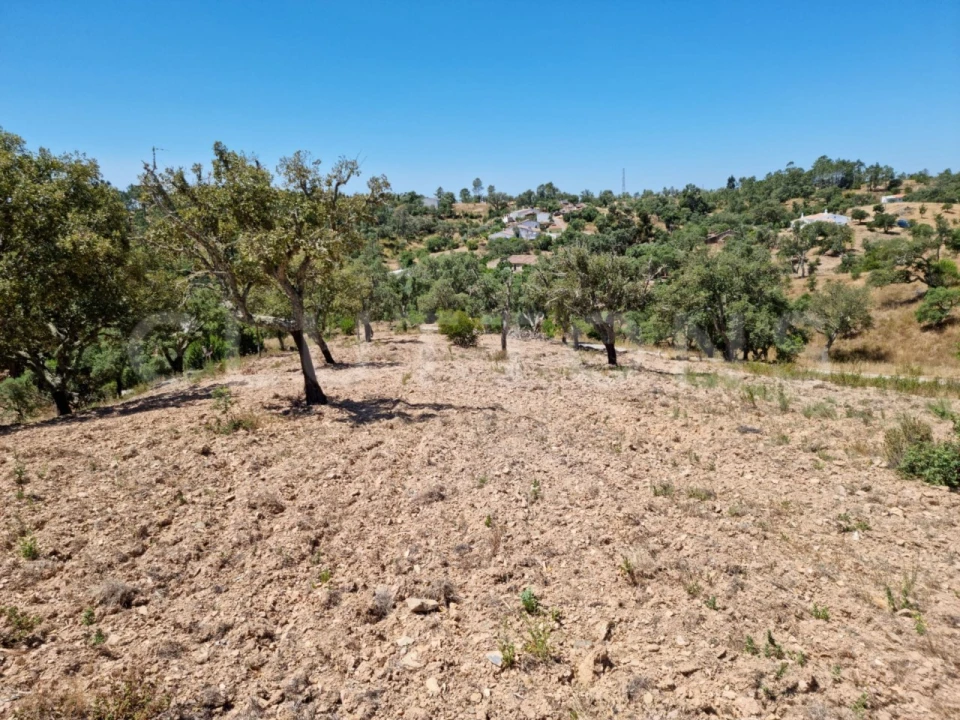 Moradia T3 para Venda em São Brás de Alportel Foto 9