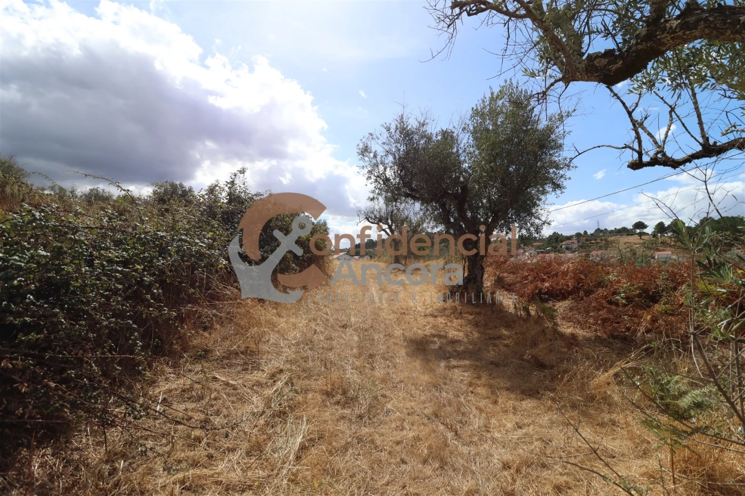 Quinta T0 para Venda em São Paio Foto 44