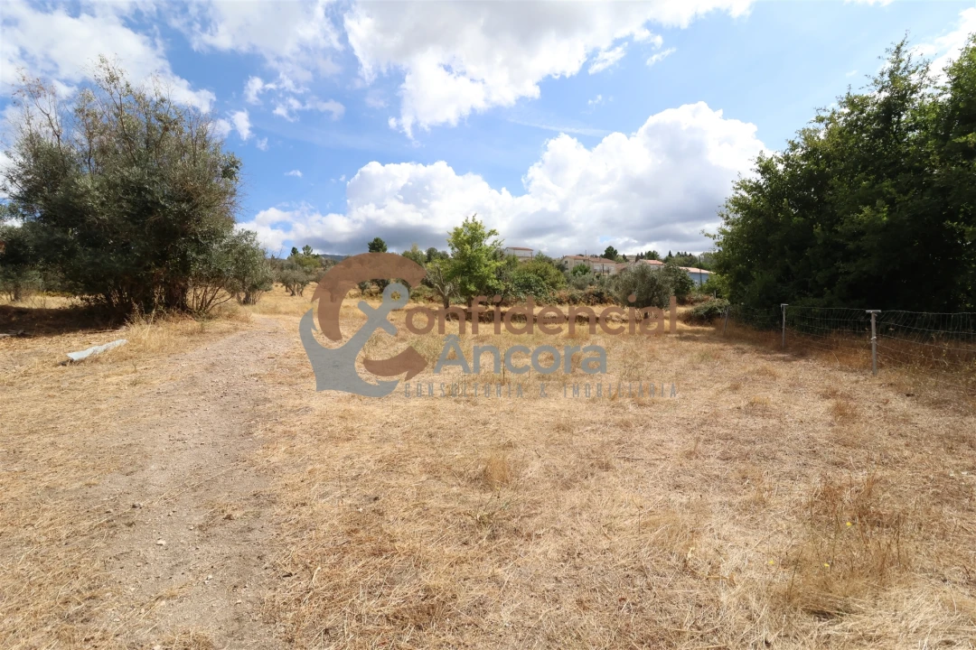 Quinta T0 para Venda em São Paio Foto 12