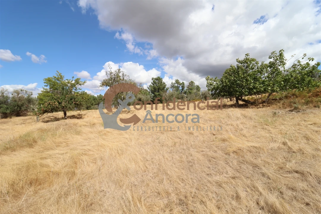 Quinta T0 para Venda em São Paio Foto 17