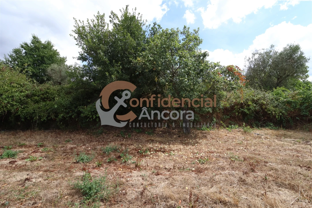 Quinta T0 para Venda em São Paio Foto 8