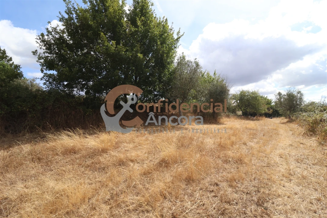 Quinta T0 para Venda em São Paio Foto 37