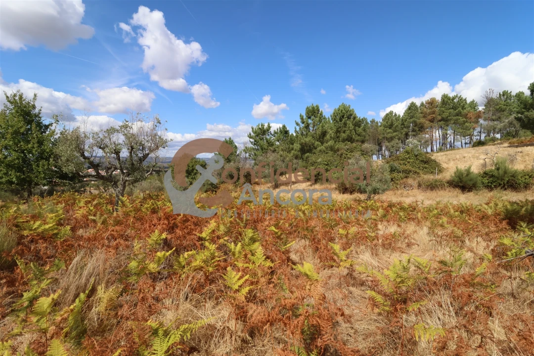 Quinta T0 para Venda em São Paio Foto 27