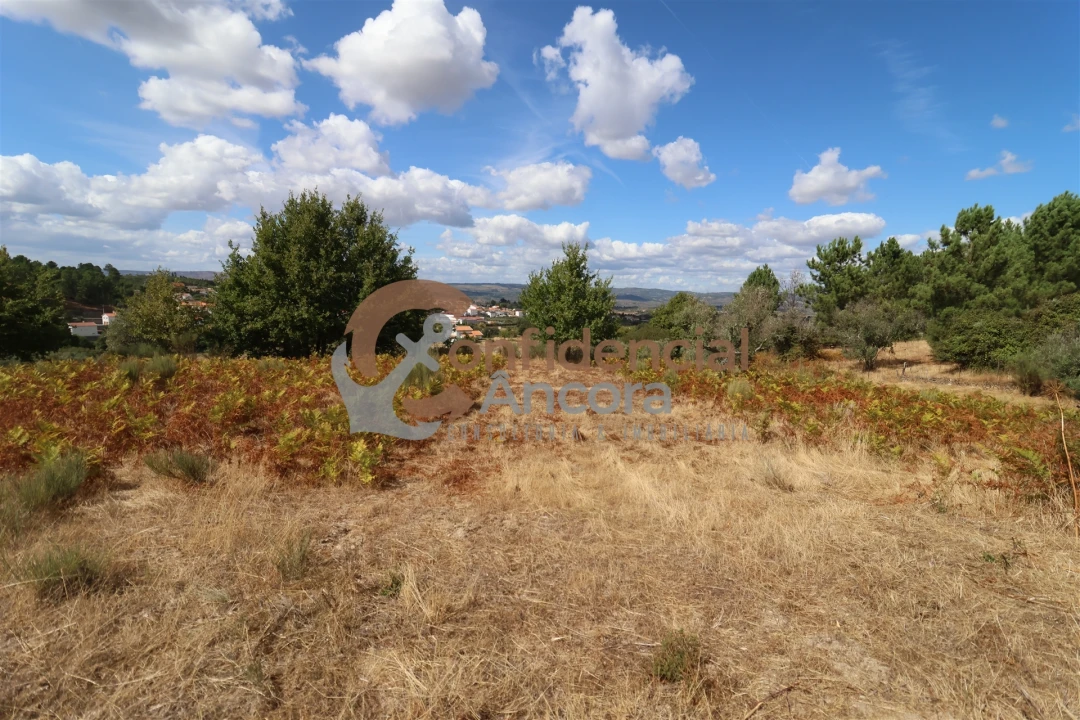 Quinta T0 para Venda em São Paio Foto 26