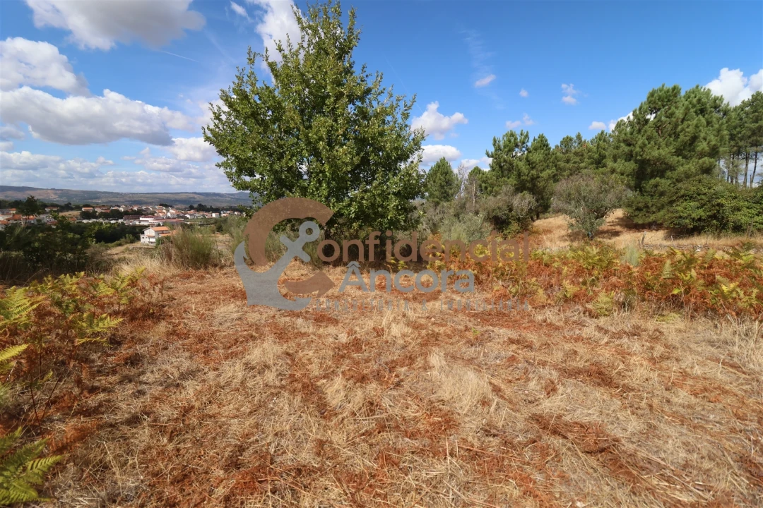 Quinta T0 para Venda em São Paio Foto 28