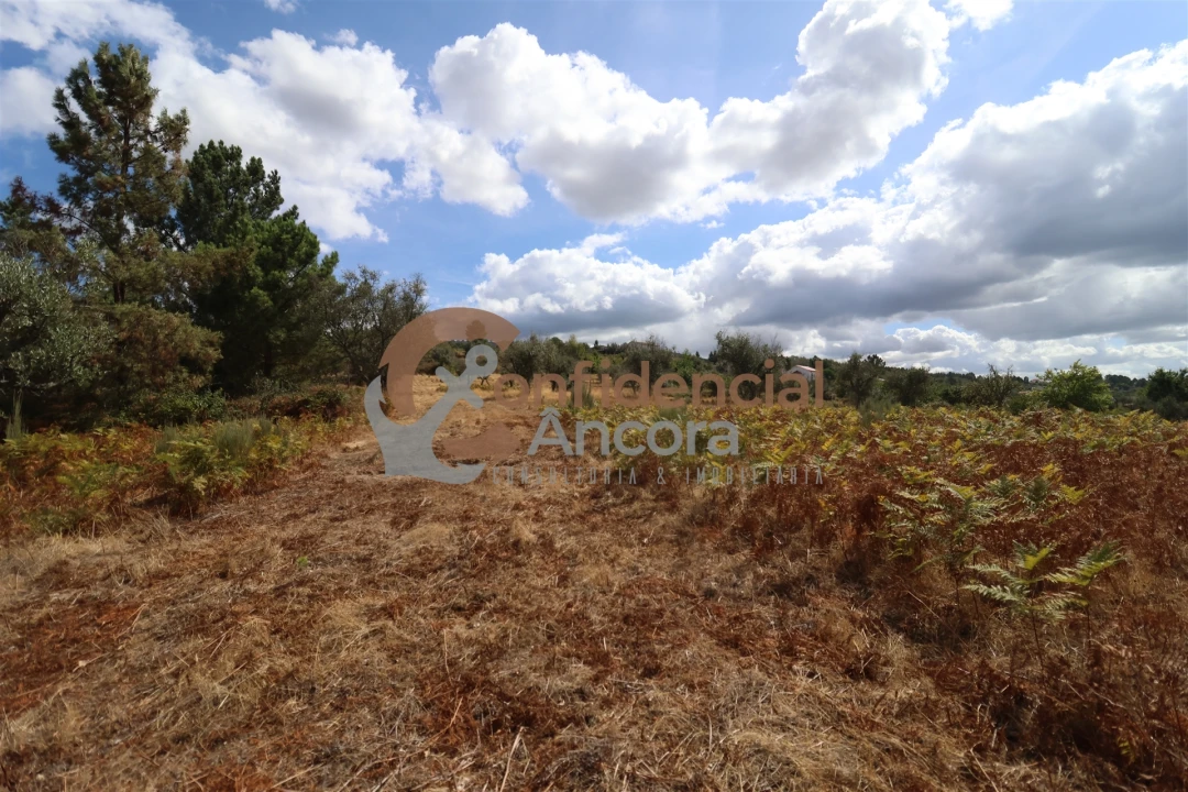 Quinta T0 para Venda em São Paio Foto 29