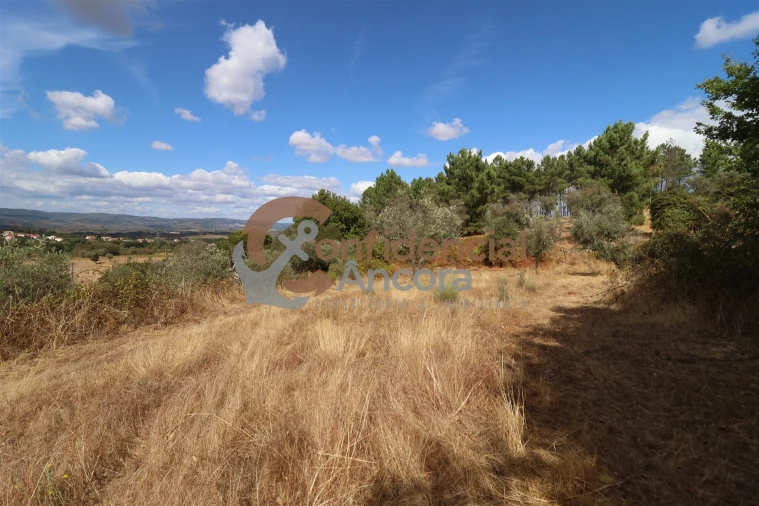 Quinta T0 para Venda em São Paio Foto 36