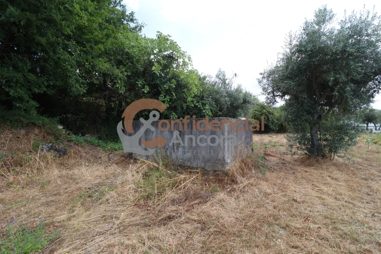 Quinta T0 para Venda em São Paio Foto 7