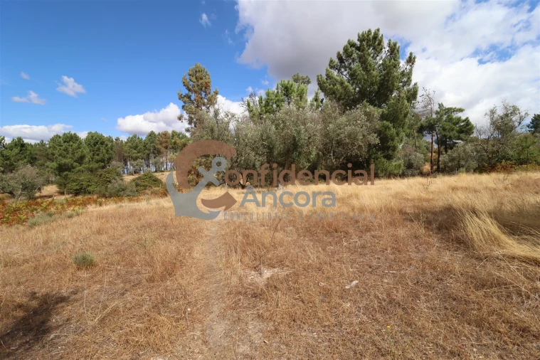 Quinta T0 para Venda em São Paio Foto 25