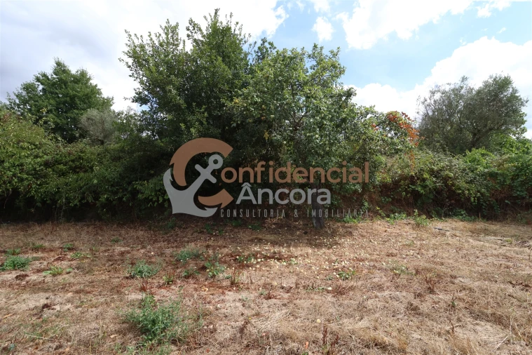 Quinta T0 para Venda em São Paio Foto 8