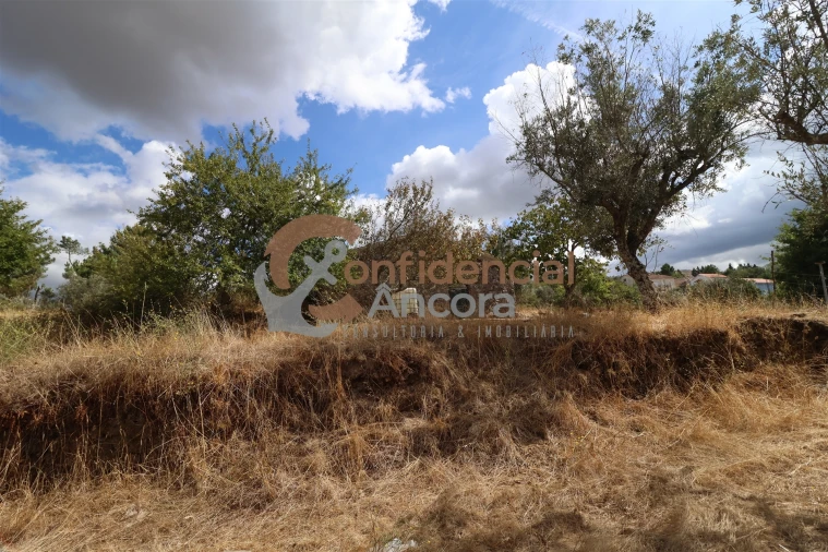 Quinta T0 para Venda em São Paio Foto 38