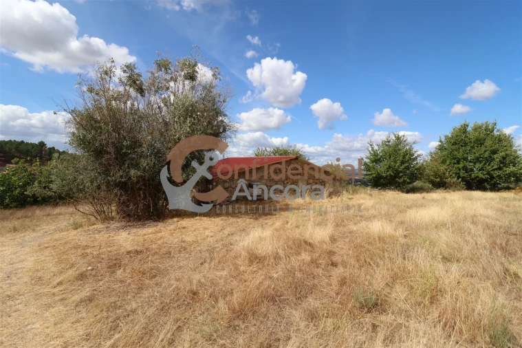 Quinta T0 para Venda em São Paio Foto 21