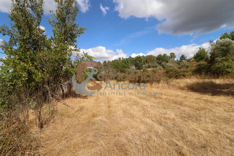 Quinta T0 para Venda em São Paio Foto 46