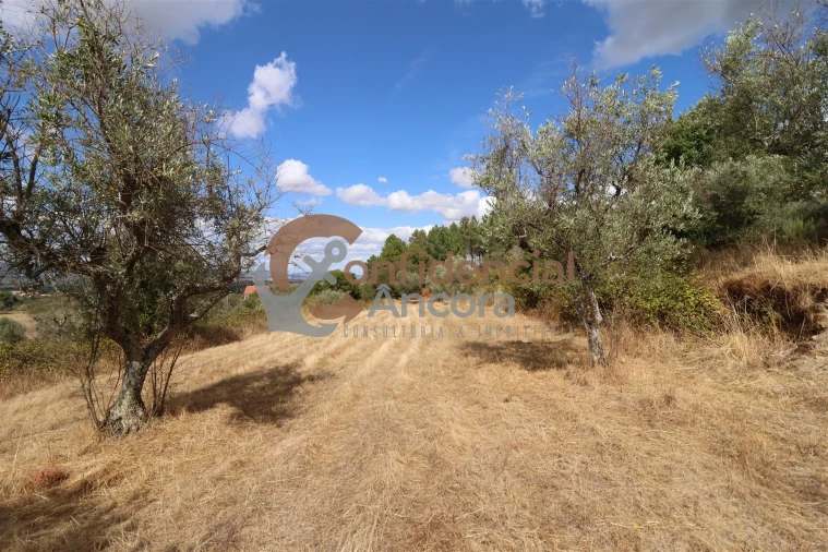 Quinta T0 para Venda em São Paio Foto 40