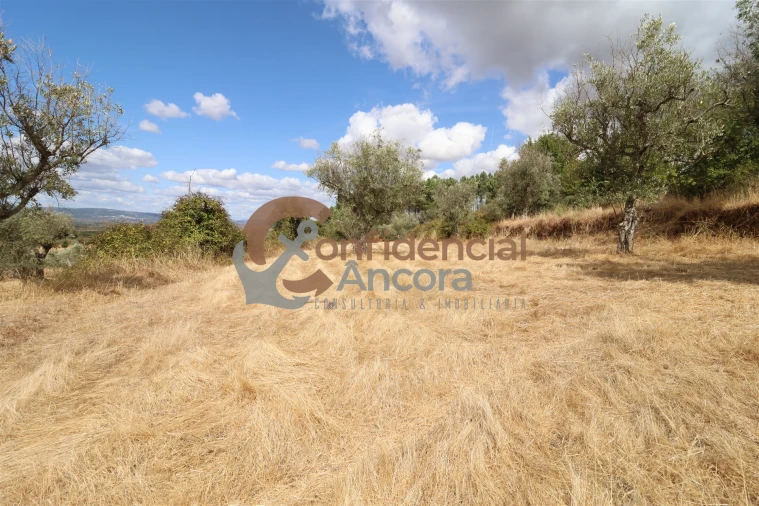 Quinta T0 para Venda em São Paio Foto 11