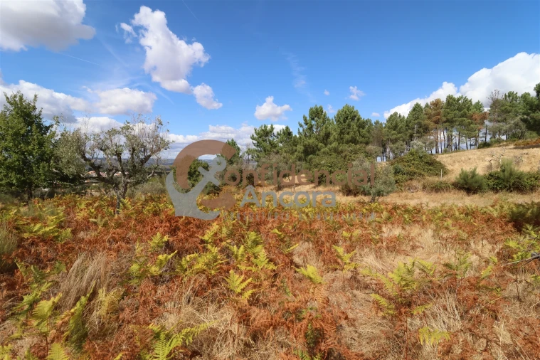 Quinta T0 para Venda em São Paio Foto 27