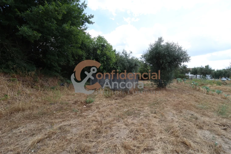 Quinta T0 para Venda em São Paio Foto 6