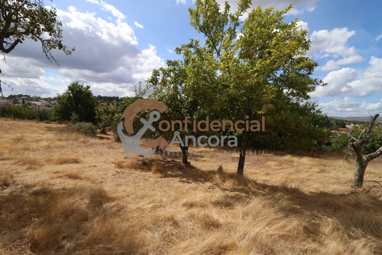 Quinta T0 para Venda em São Paio Foto 20