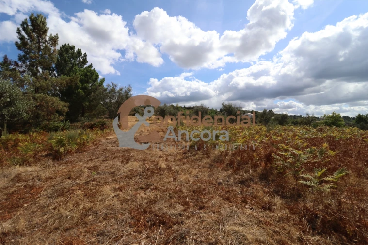 Quinta T0 para Venda em São Paio Foto 29