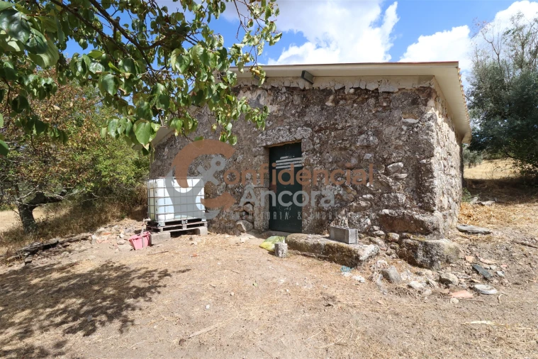 Quinta T0 para Venda em São Paio Foto 34