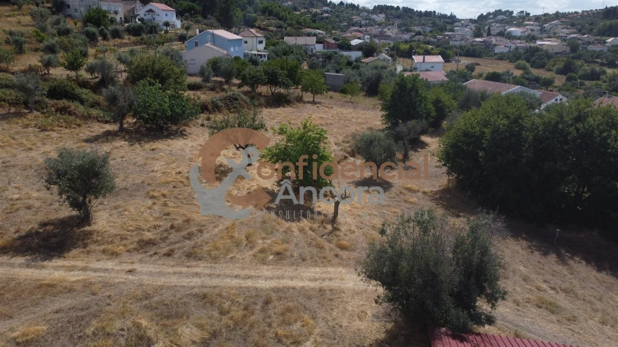 Quinta T0 para Venda em São Paio Foto 56