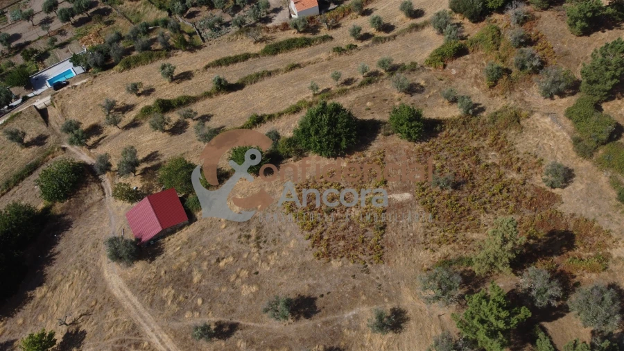 Quinta T0 para Venda em São Paio Foto 62