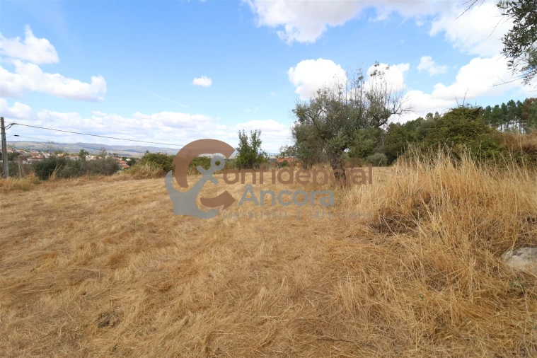 Quinta T0 para Venda em São Paio Foto 4