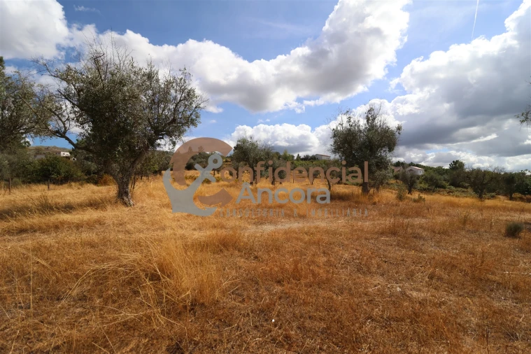 Quinta T0 para Venda em São Paio Foto 31