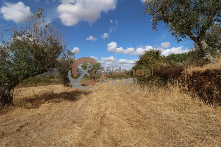 Quinta T0 para Venda em São Paio Foto 42