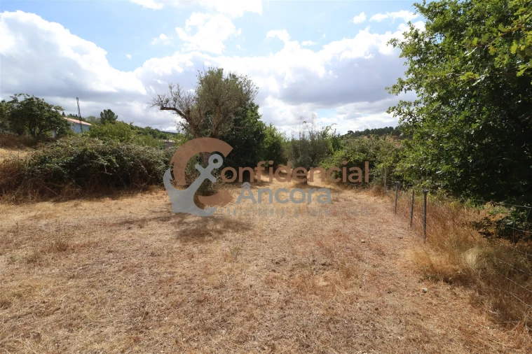 Quinta T0 para Venda em São Paio Foto 15