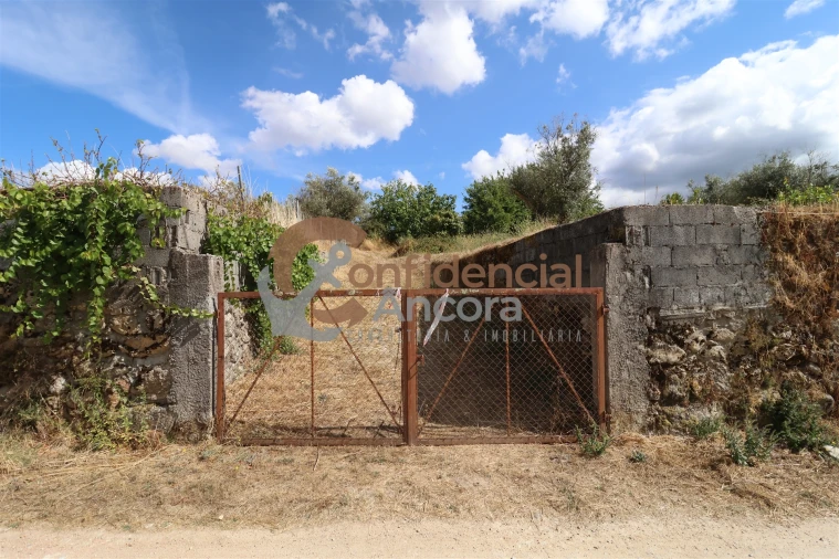 Quinta T0 para Venda em São Paio Foto 49