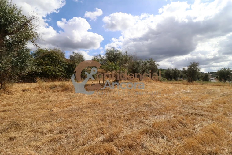 Quinta T0 para Venda em São Paio Foto 45