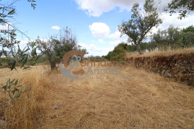 Quinta T0 para Venda em São Paio Foto 5