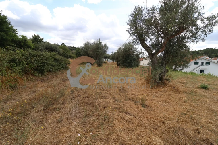 Quinta T0 para Venda em São Paio Foto 2