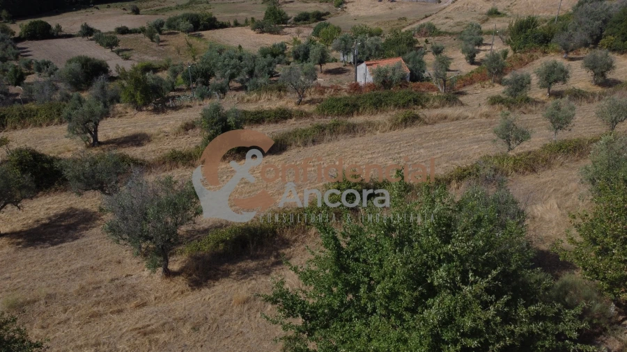 Quinta T0 para Venda em São Paio Foto 55