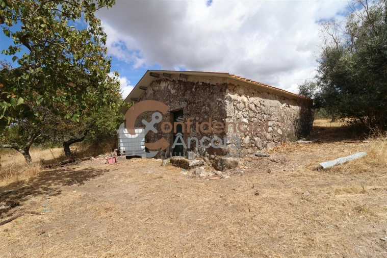 Quinta T0 para Venda em São Paio Foto 13