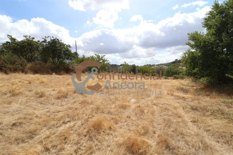 Quinta T0 para Venda em São Paio Foto 16