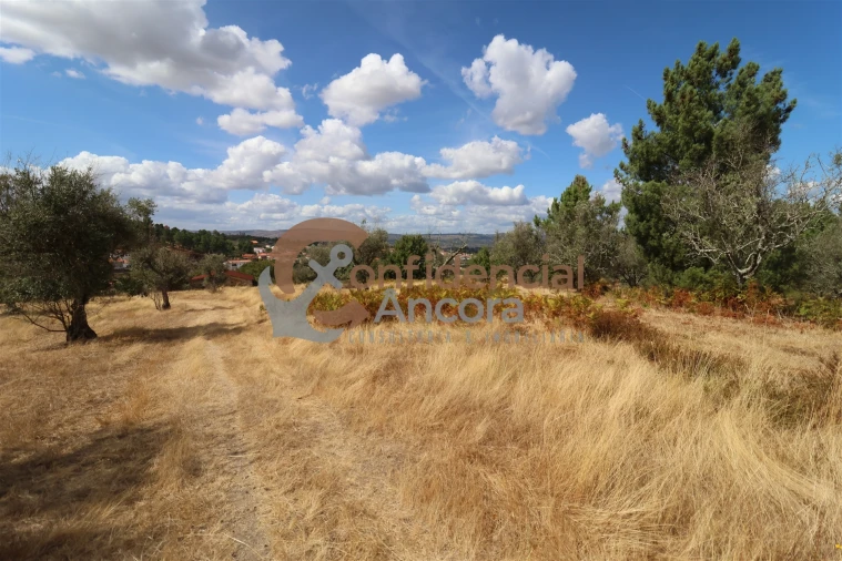 Quinta T0 para Venda em São Paio Foto 24