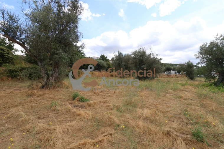 Quinta T0 para Venda em São Paio Foto 3