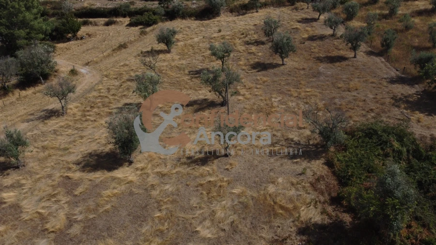 Quinta T0 para Venda em São Paio Foto 59