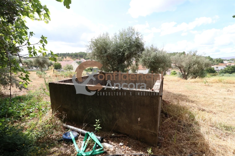 Quinta T0 para Venda em São Paio Foto 10