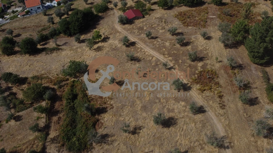 Quinta T0 para Venda em São Paio Foto 60