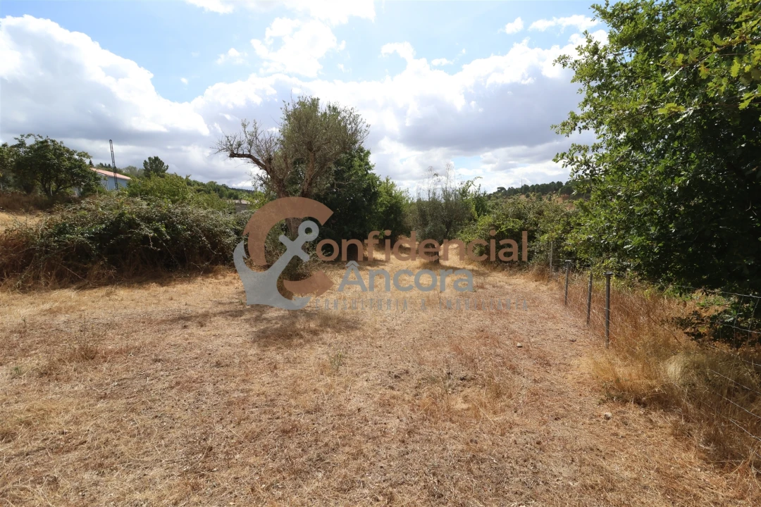 Quinta T0 para Venda em São Paio Foto 15