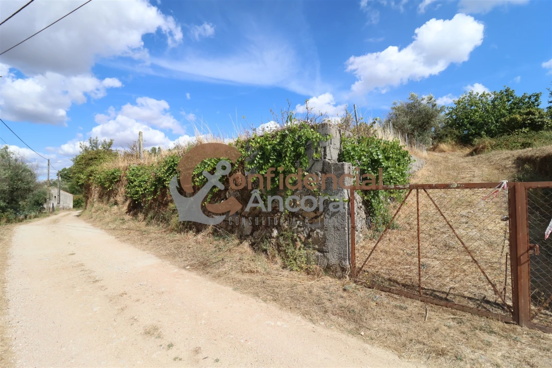 Quinta T0 para Venda em São Paio Foto 50