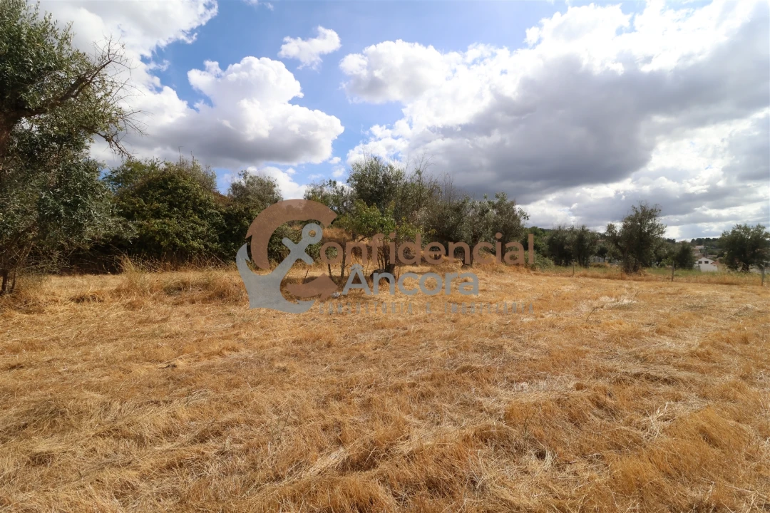 Quinta T0 para Venda em São Paio Foto 45