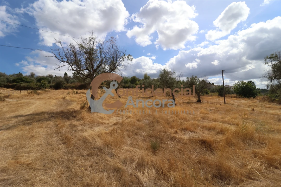 Quinta T0 para Venda em São Paio Foto 23