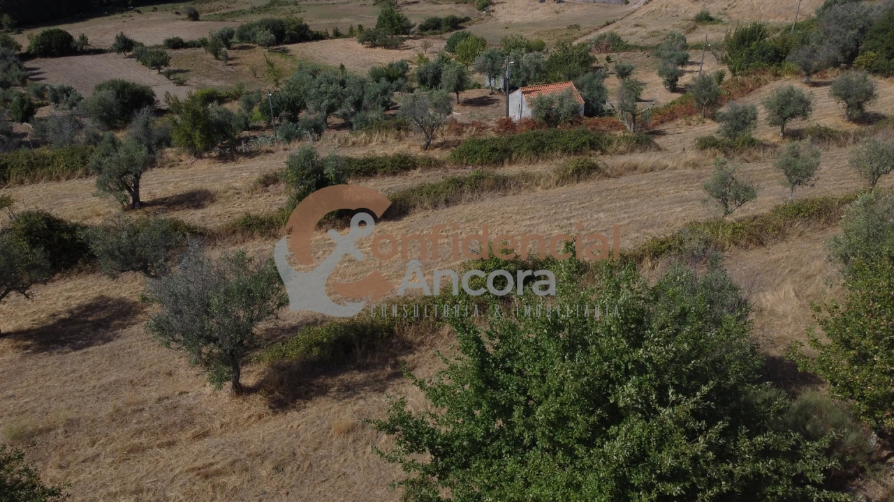 Quinta T0 para Venda em São Paio Foto 55