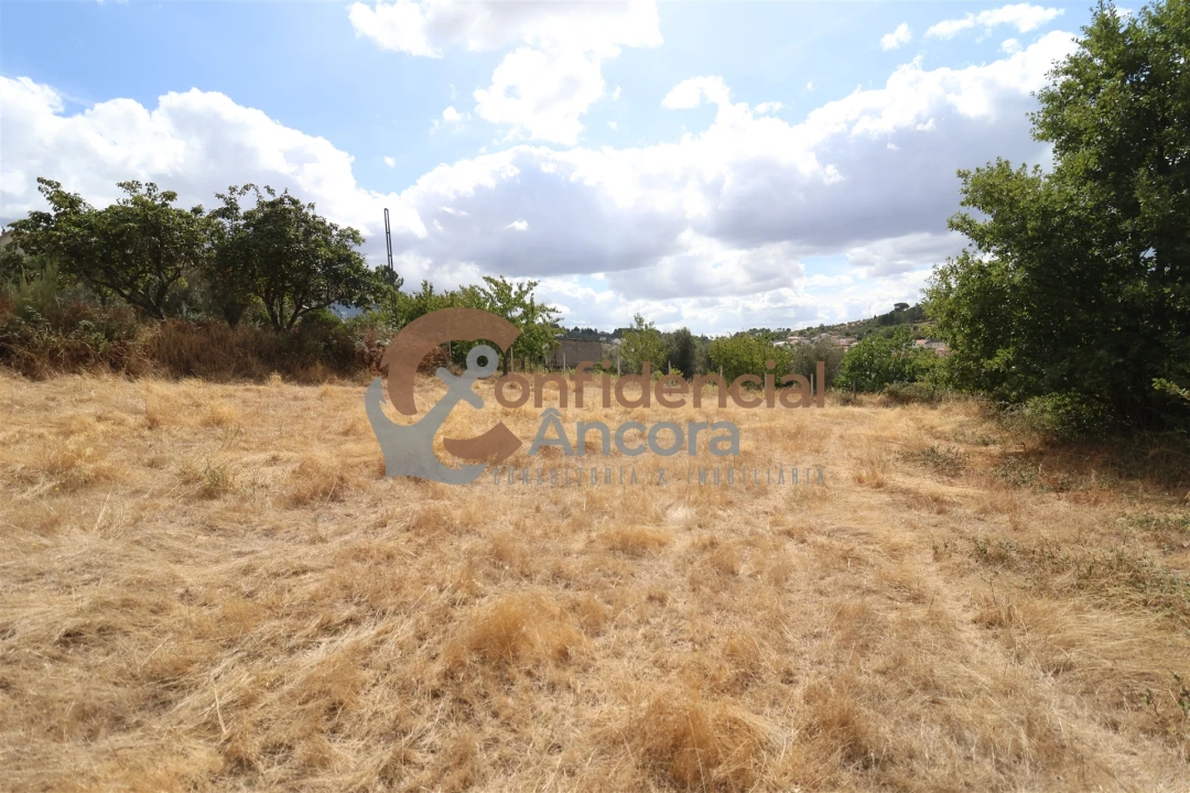 Quinta T0 para Venda em São Paio Foto 16