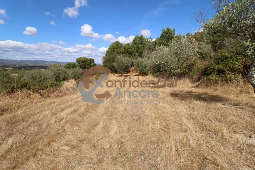 Quinta T0 para Venda em São Paio Foto 41